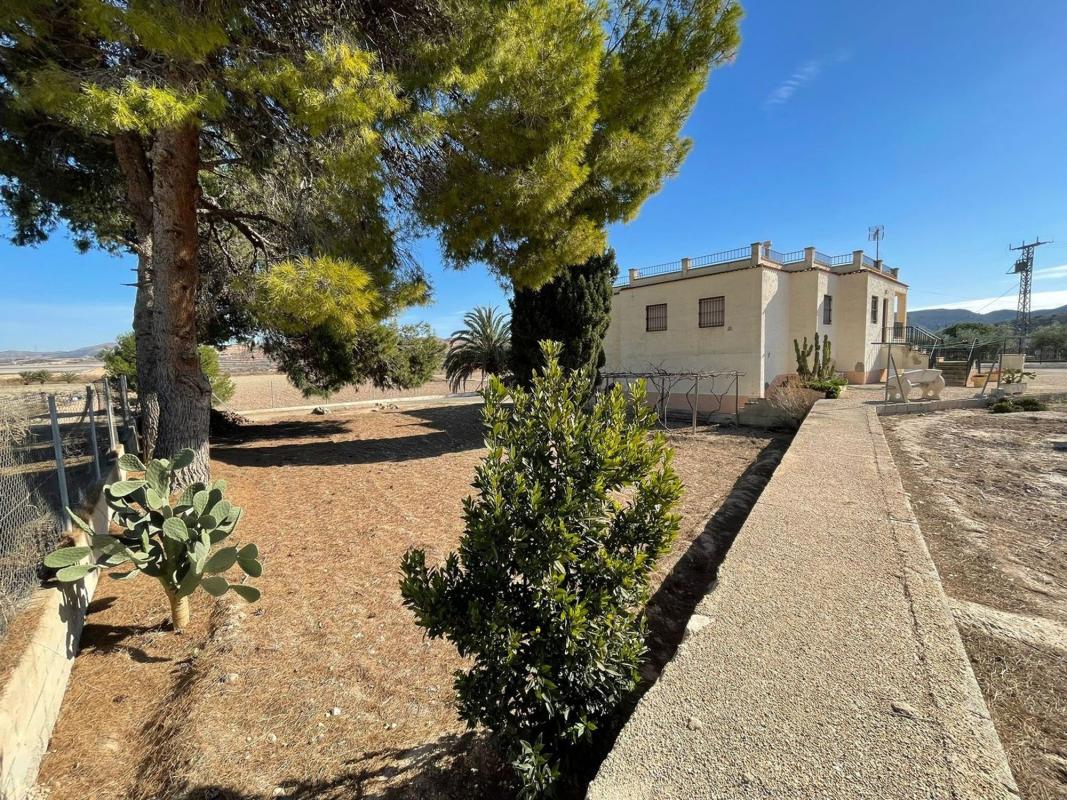 Propiedades en venta y alquiler en España photo 1