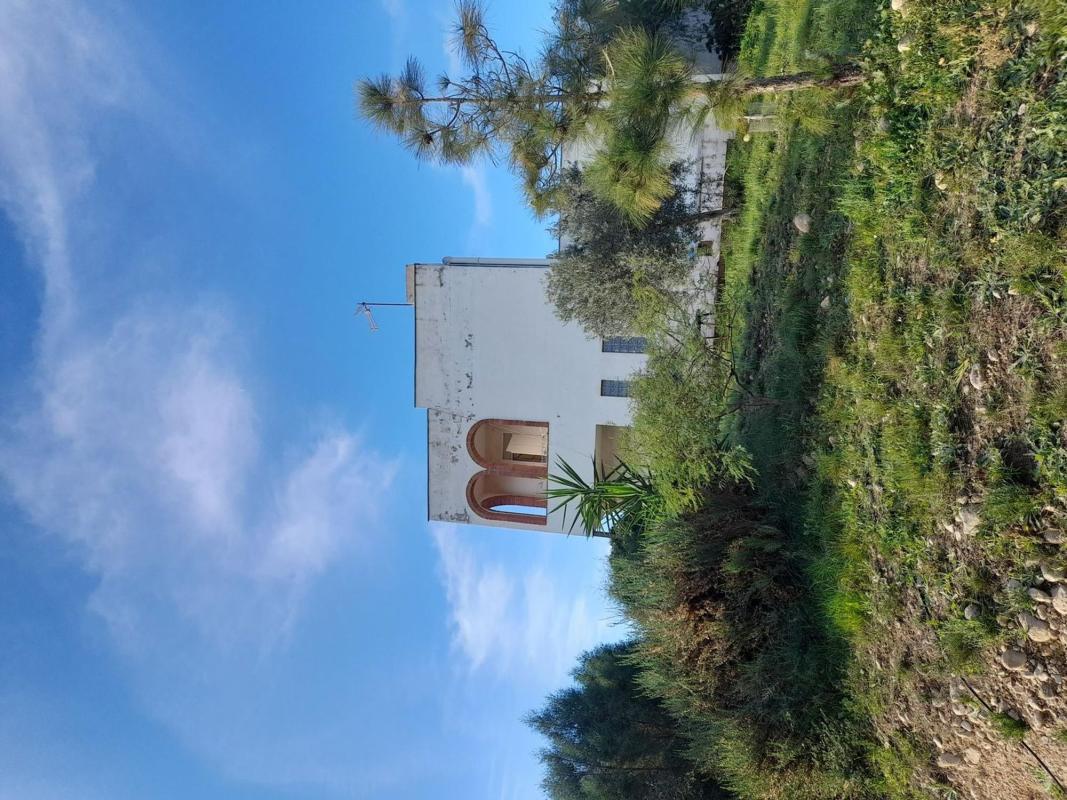Properties for sale and rent in Spain photo 4