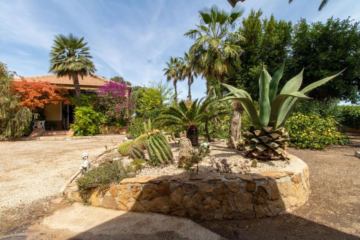 Venta de finca rústica en Finca rústica en Partida Altet, El Altet - Balsares, Elche / Elx , Elche / Elx photo 2