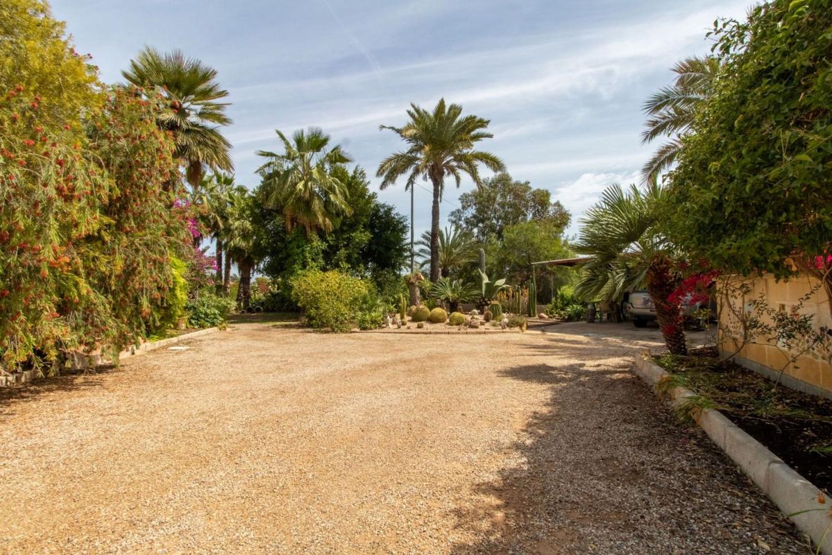 Venta de finca rústica en Finca rústica en Partida Altet, El Altet - Balsares, Elche / Elx , Elche / Elx photo 5