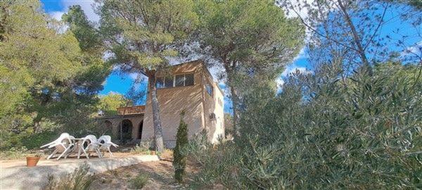 Casa o chalet independiente en Partida Finca Terol a 86, Tibi photo 2