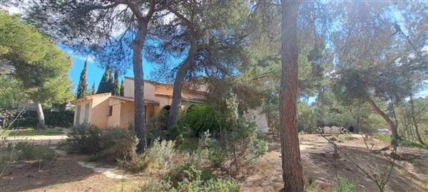Casa o chalet independiente en Partida Finca Terol a 86, Tibi photo 3