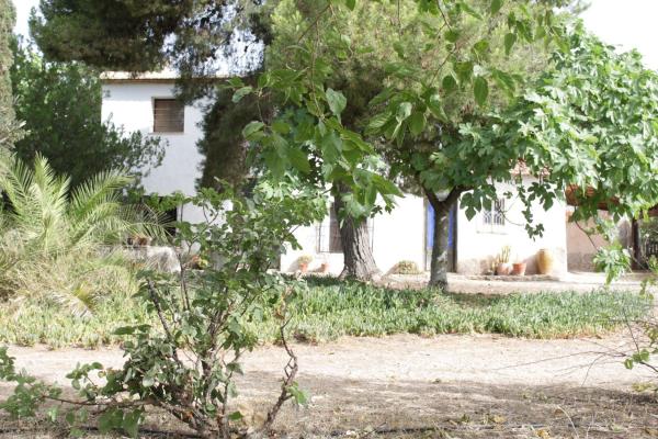 Casa de pueblo en Calle La Serreta, 43, Monforte del Cid thumbnail 3