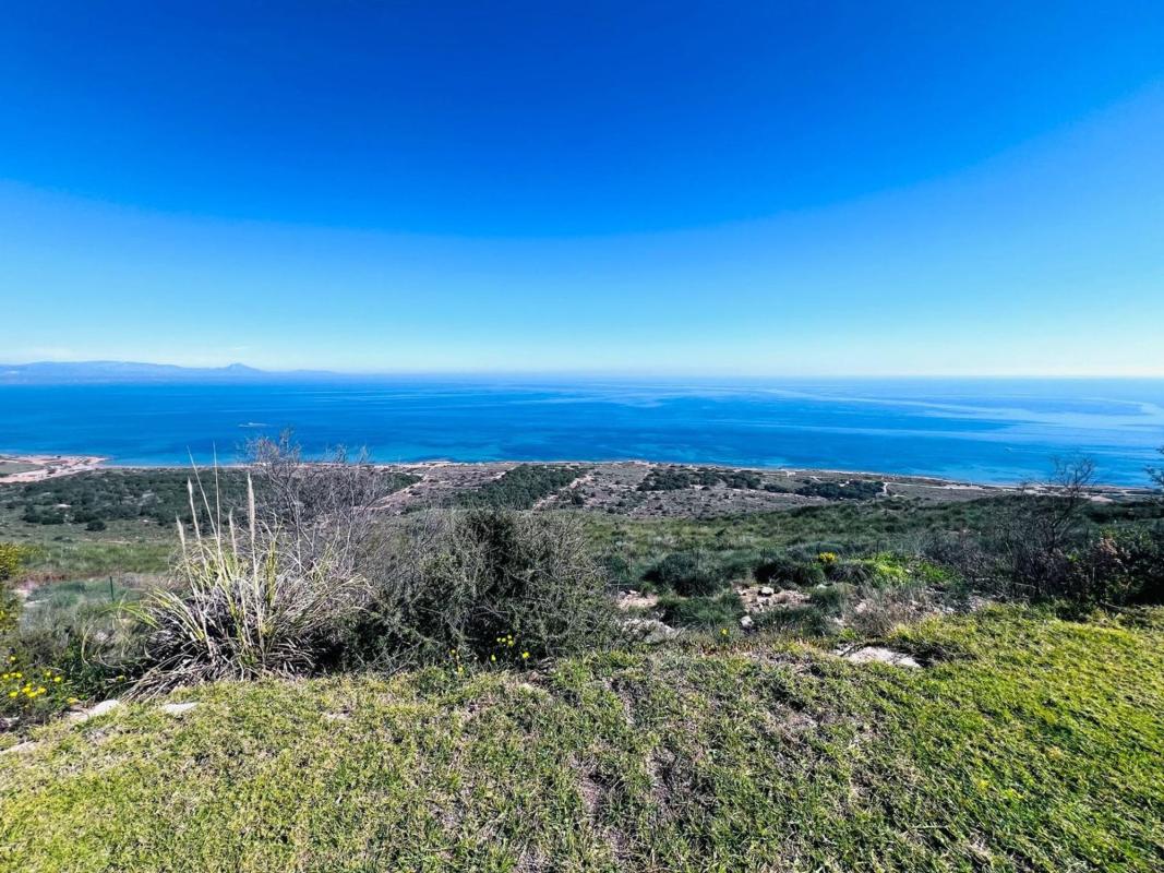 Properties for sale and rent in Spain photo 2