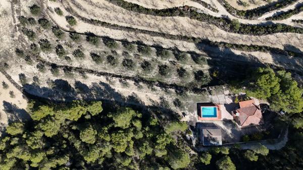 Finca rústica en venta en Finca rústica en Cv-801 s/n, Ibi , Ibi thumbnail 3