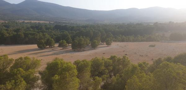 Rustic farm for sale in Finca rústica en Lugar III Pd 3, 2264, Castalla , Castalla photo 1