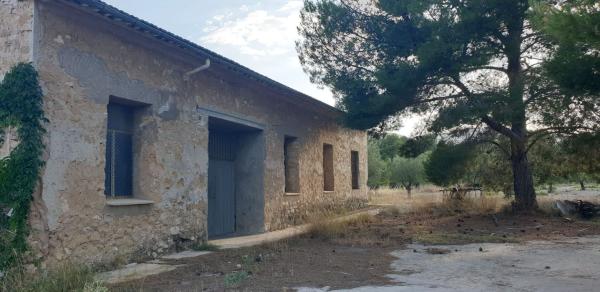 Rustic farm for sale in  Finca rústica en Lugar III Pd 3, 2264, Castalla , Castalla photo 4