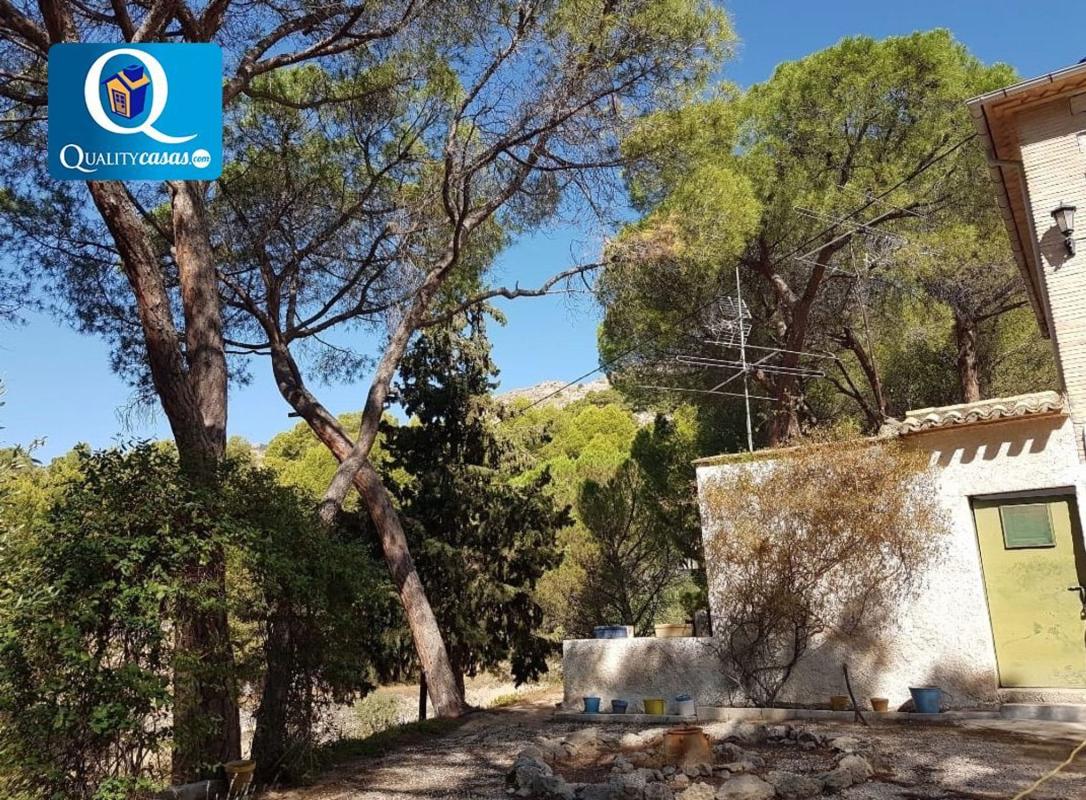 Properties for sale and rent in Spain photo 4