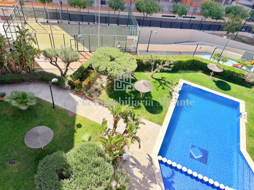 Sale of apartment in Piso en Calle Rosa Chacel, Babel, Alicante / Alacant, Alicante
photo 1