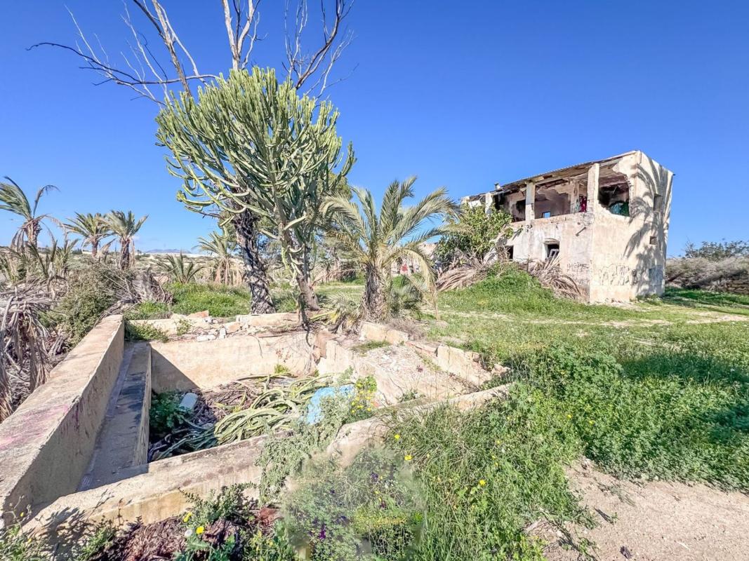 Продажа загородного участка в Finca rústica en Partida Altabix, La Galia-Bonavista, Elche / Elx , Эльче / Эльх photo 2