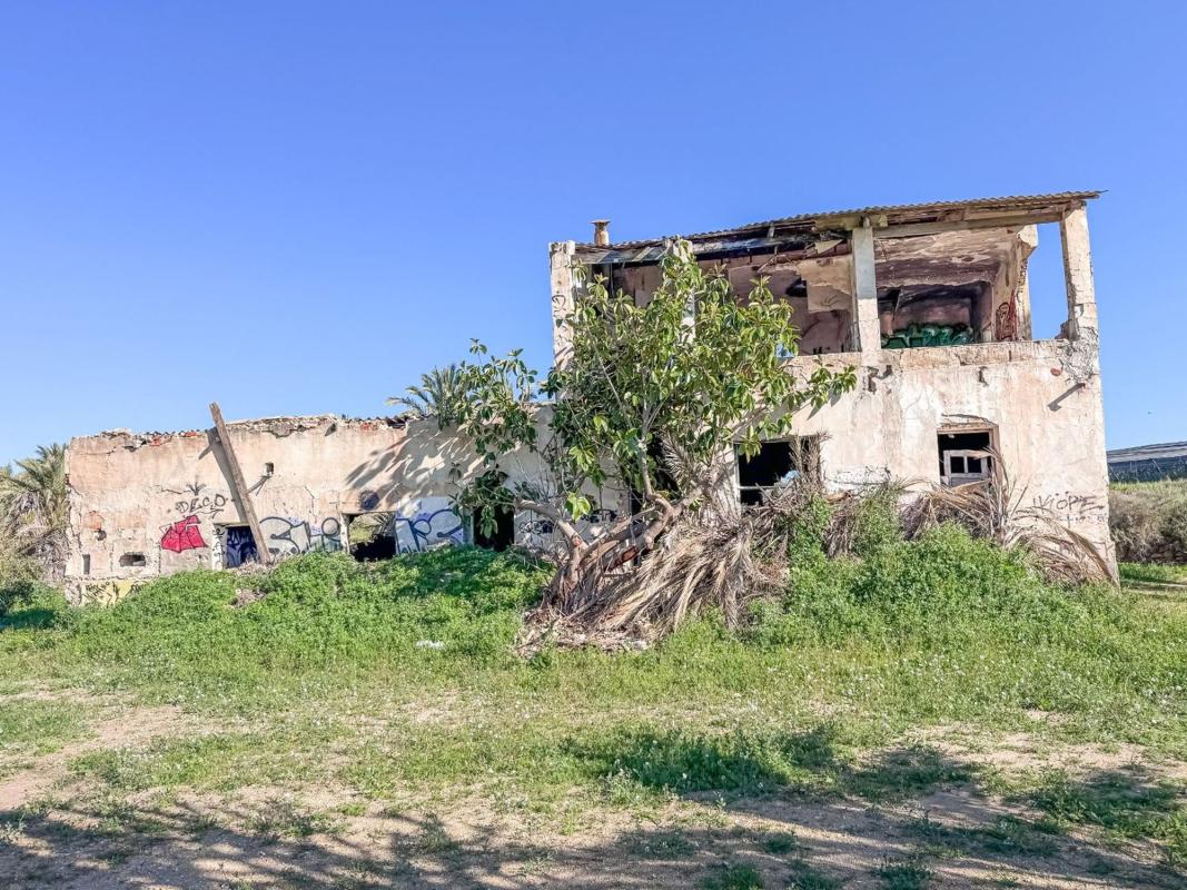 Продажа загородного участка в Finca rústica en Partida Altabix, La Galia-Bonavista, Elche / Elx , Эльче / Эльх photo 3