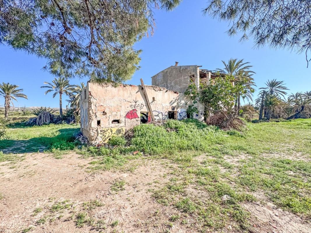 Продажа загородного участка в Finca rústica en Partida Altabix, La Galia-Bonavista, Elche / Elx , Эльче / Эльх photo 5