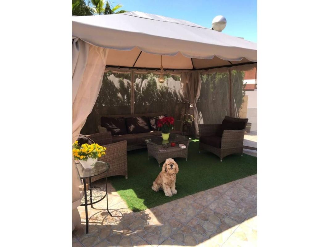Sale of independent chalet in Casa o chalet en Calle Chipre, Monte y Mar, Gran Alacant, Gran Alacant
photo 3