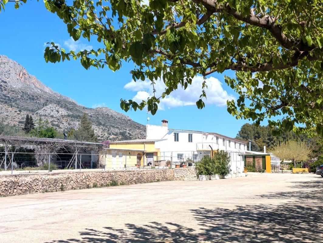 Продажа загородного участка в  Finca rústica en Gayanes , Гаянес photo 4