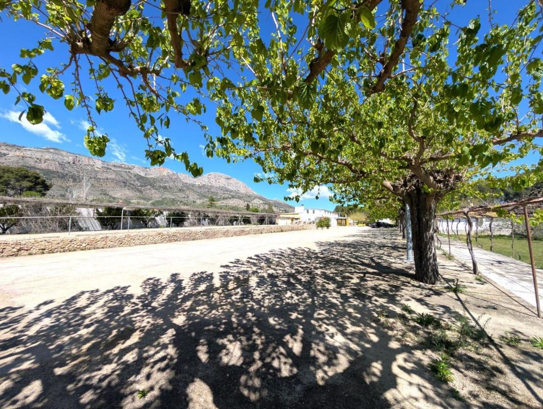 Продажа загородного участка в  Finca rústica en Gayanes , Гаянес photo 5