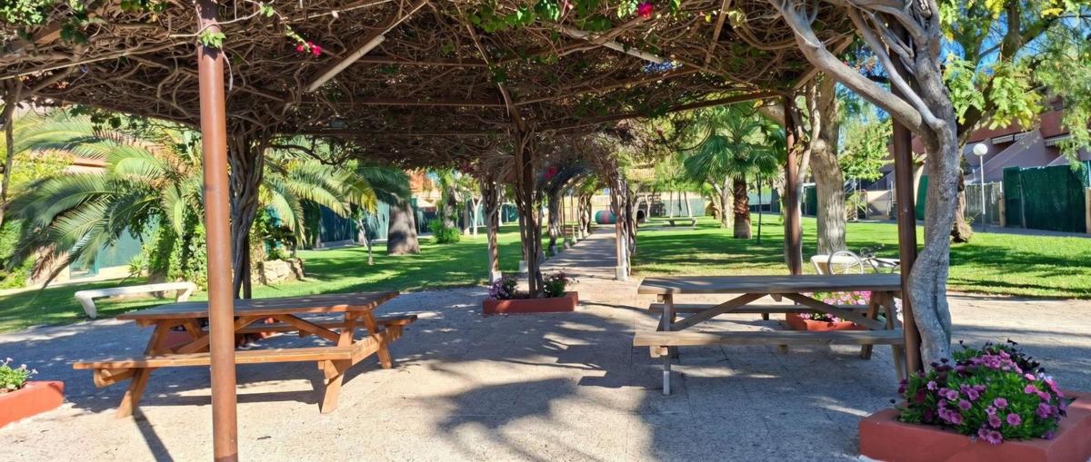 Properties for sale and rent in Spain photo 4