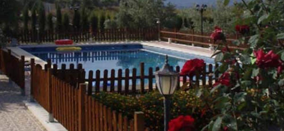 Properties for sale and rent in Spain photo 1