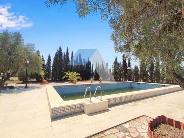 Casa o chalet independiente en Los Girasoles, San Vicente del Raspeig thumbnail 2