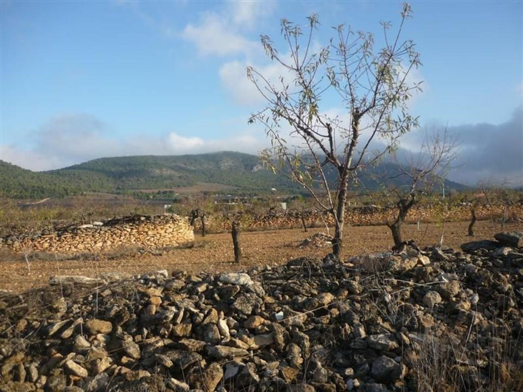 Sale of rural property in  Finca rústica en CM Partida Pla de Cuart 23 Poligono 5 parcela 53 001201800yh07h - 5/53, Onil , Onil photo 5