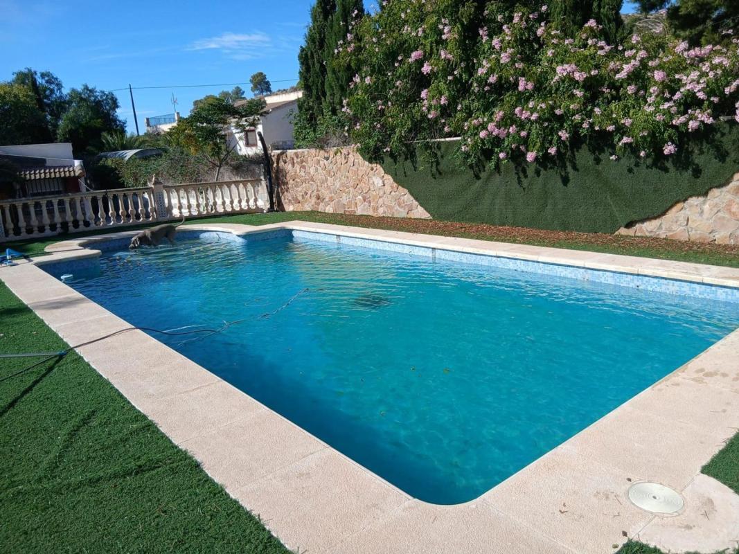 Properties for sale and rent in Spain photo 2