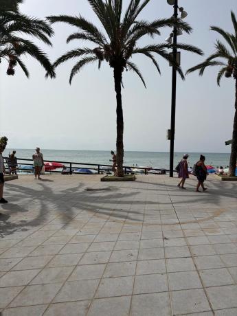 Venta de piso en Piso en Playa del Cura, Torrevieja, Torrevieja
 photo 3