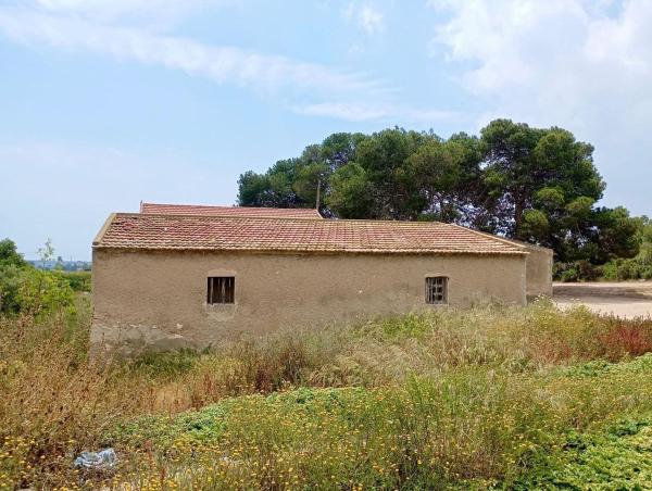 Casa o chalet independiente en Alto Partida Valverde, Valverde, Elche / Elx thumbnail 2