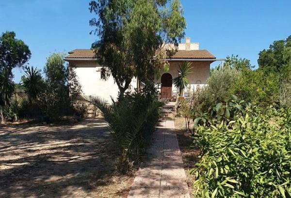 Casa o chalet independiente en El Altet - Balsares, Elche / Elx photo 1