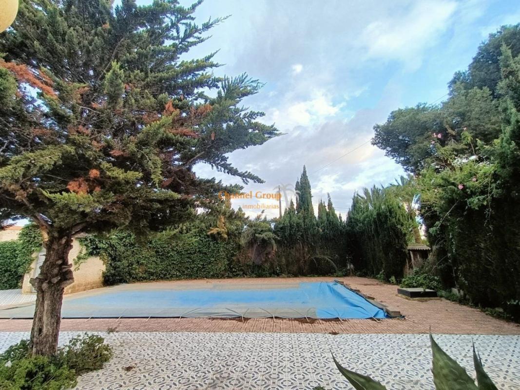 Sprzedaż działki rolnej w Finca rústica en La Galia-Bonavista, Elche / Elx , Elche / Elx photo 2