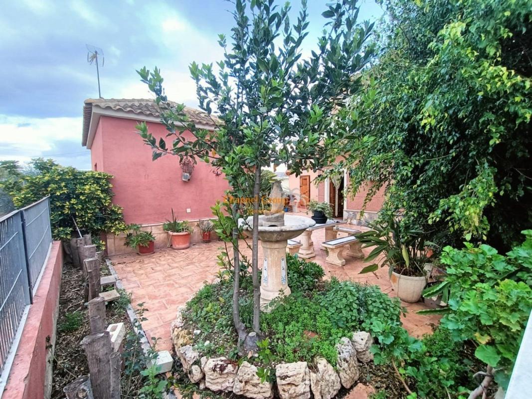 Sprzedaż działki rolnej w Finca rústica en La Galia-Bonavista, Elche / Elx , Elche / Elx photo 3