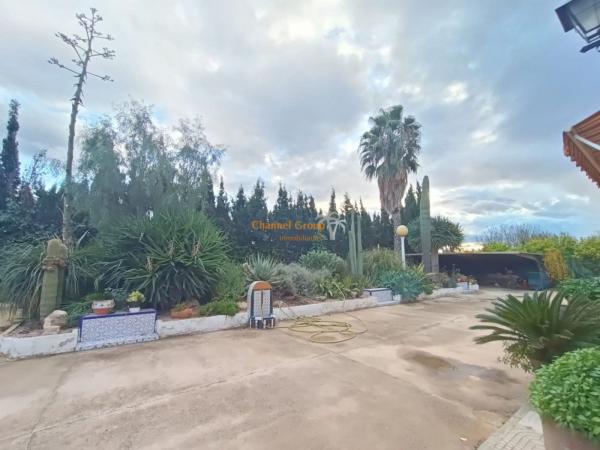 Rustic farm for sale in  Finca rústica en La Galia-Bonavista, Elche / Elx , Elche / Elx photo 4