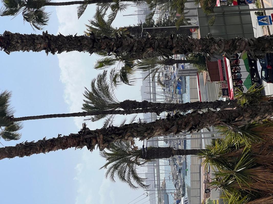 Sprzedaż mieszkania w Piso en Plaza de Capdepont, 1, Centro - Muelle Pesquero, Torrevieja, Torrevieja
photo 4