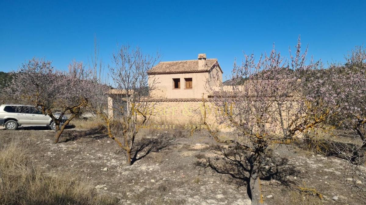 Properties for sale and rent in Spain photo 3