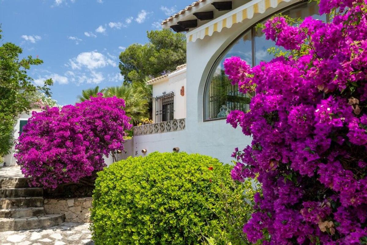 Properties for sale and rent in Spain photo 3
