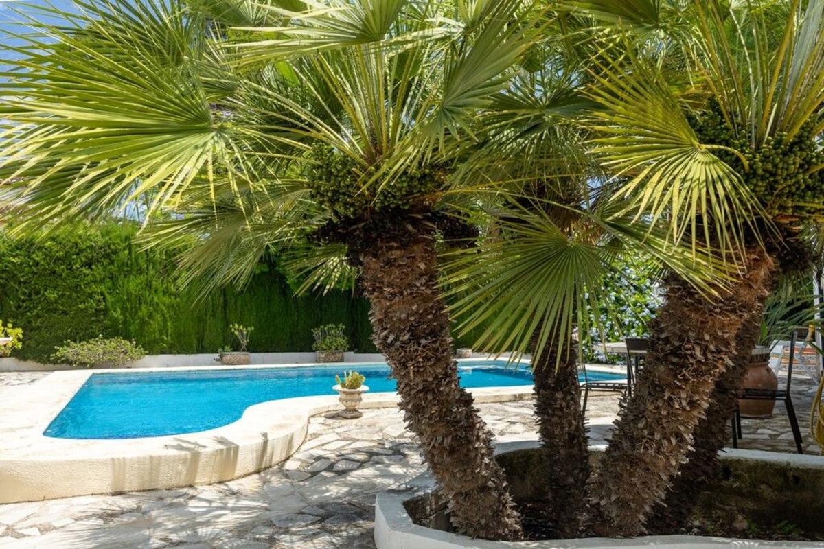 Properties for sale and rent in Spain photo 4