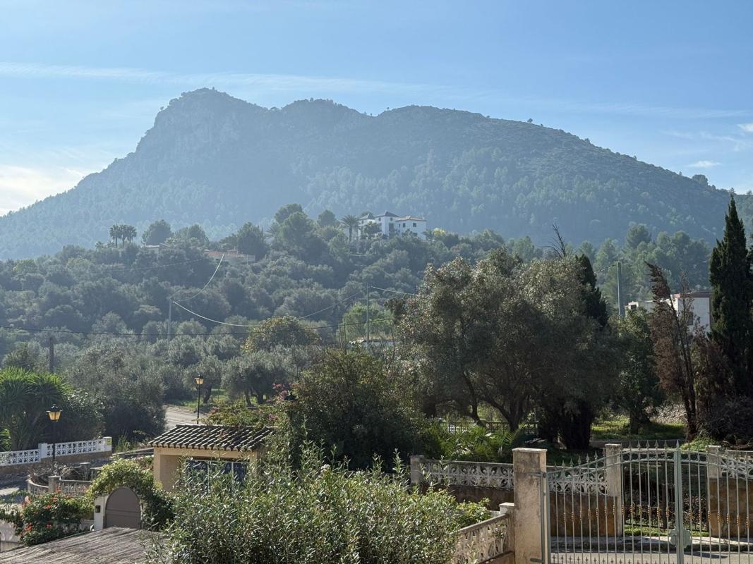Properties for sale and rent in Spain photo 3