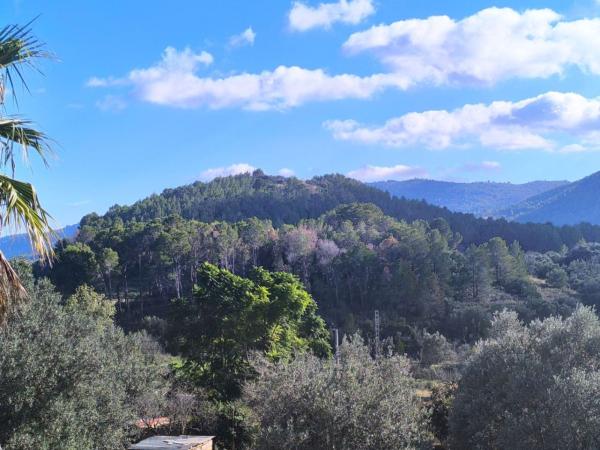 Independent chalet for sale in Casa o chalet en Parcent, Parcent
 photo 4
