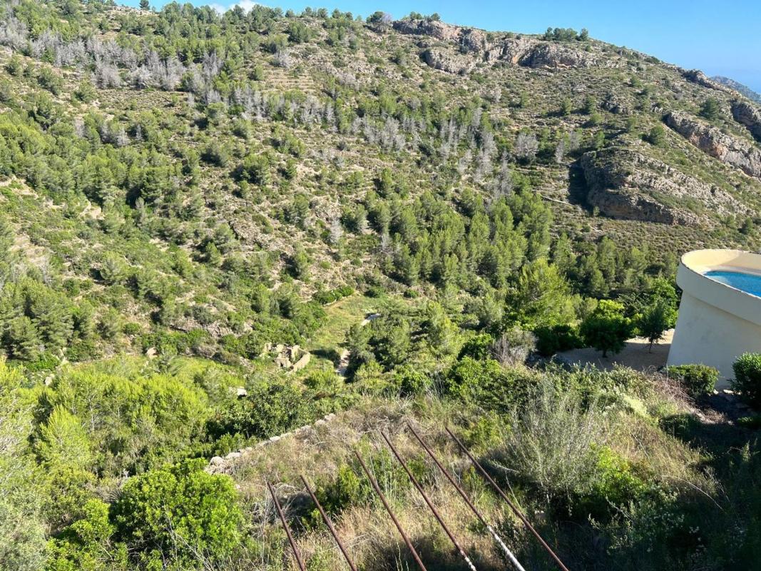 Terreno en venta en Pedreguer, Alicante photo 3