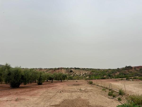 Terreno en Partida Sol del Camp, Agost photo 4