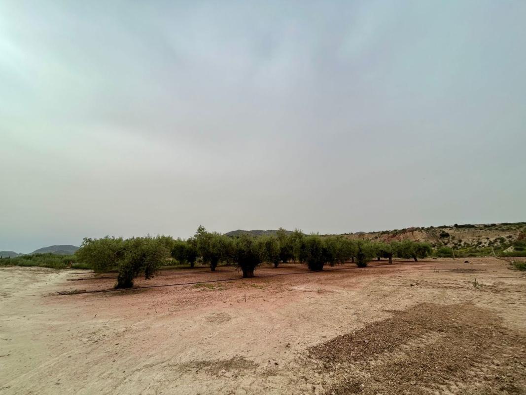Działka na sprzedaż w Agost, Alicante photo 5