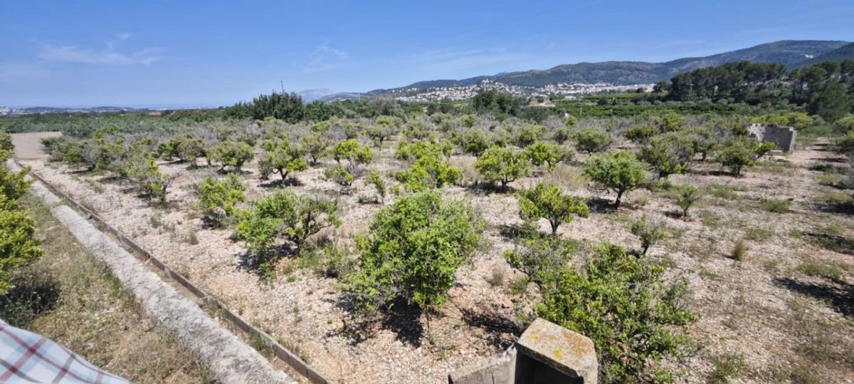 Terreno en venta en Tormos, Alicante photo 3