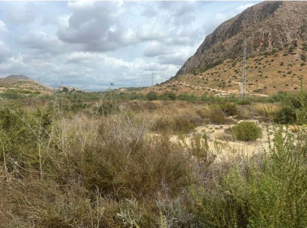 Terreno en Sierra De Las Indias s/n, Rebolledo photo 1