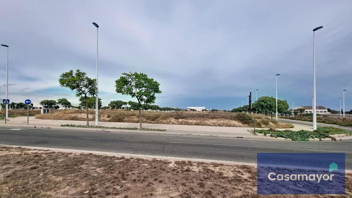 Działka na sprzedaż w Elche / Elx, Alicante photo 3
