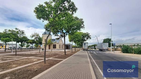 Terreno en Calle Espardenyers, Jubalcoi-Saladas, Elche / Elx photo 4
