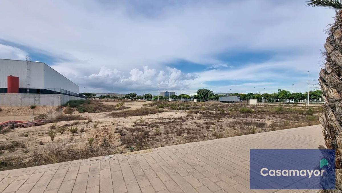 Terreno en venta en Elche / Elx, Alicante photo 5