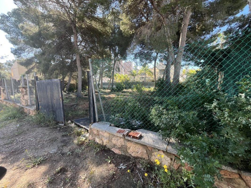Участок земли на продажу в Ориуэла, Аликанте photo 5