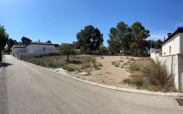 Terreno en Petrer photo 4