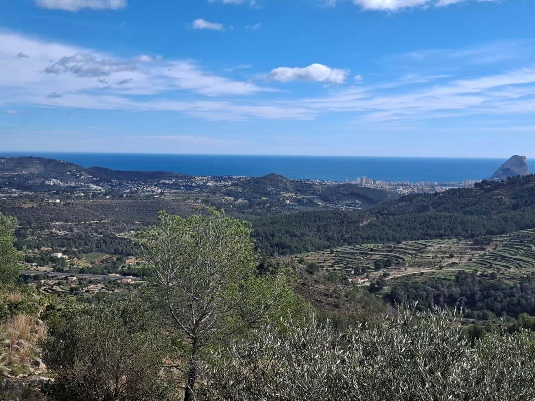 Propiedades en venta y alquiler en España photo 2