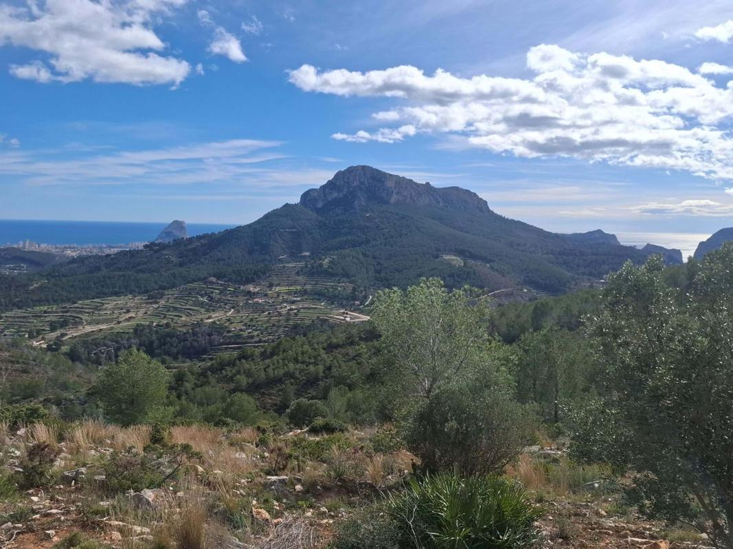 Propiedades en venta y alquiler en España photo 3