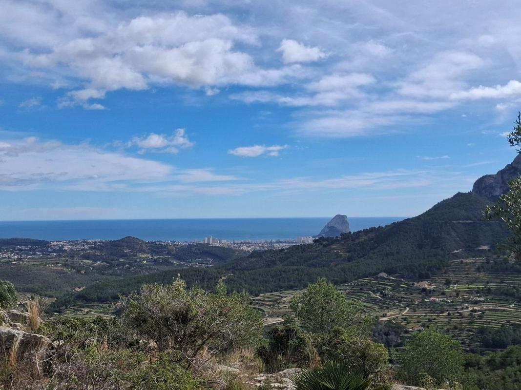 Propiedades en venta y alquiler en España photo 5