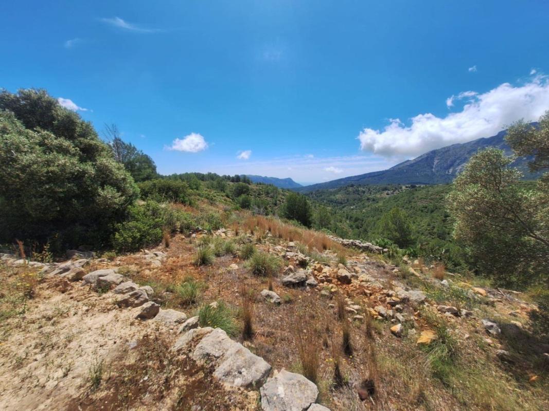 Sale of rural property in Finca rústica en Llíber , Llíber photo 5